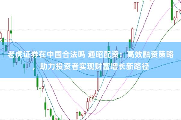 老虎证券在中国合法吗 通昭配资：高效融资策略，助力投资者实现财富增长新路径