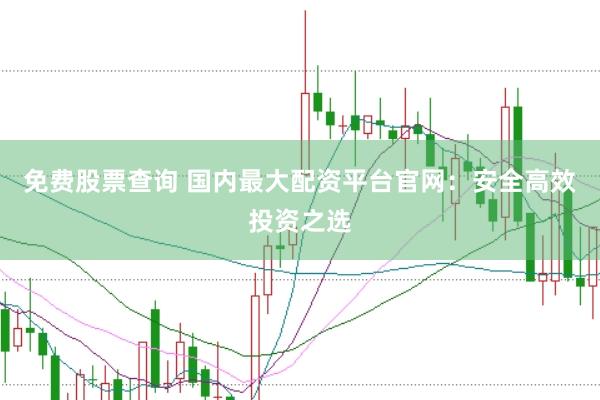 免费股票查询 国内最大配资平台官网：安全高效投资之选