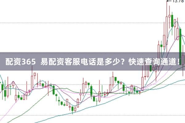 配资365  易配资客服电话是多少？快速查询通道！