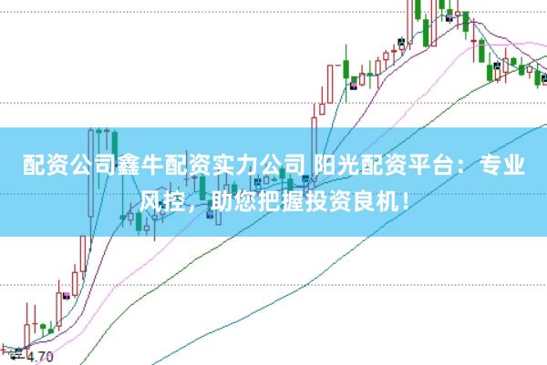 配资公司鑫牛配资实力公司 阳光配资平台：专业风控，助您把握投资良机！