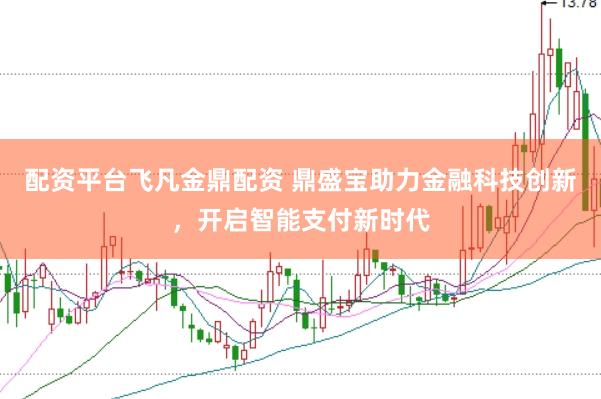 配资平台飞凡金鼎配资 鼎盛宝助力金融科技创新，开启智能支付新时代