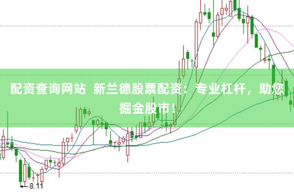 配资查询网站  新兰德股票配资：专业杠杆，助您掘金股市！