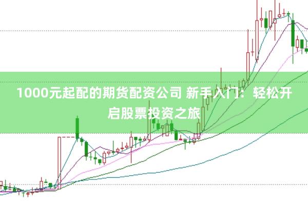 1000元起配的期货配资公司 新手入门：轻松开启股票投资之旅