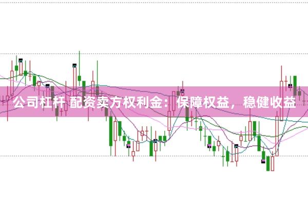 公司杠杆 配资卖方权利金:保障权益,稳健收益