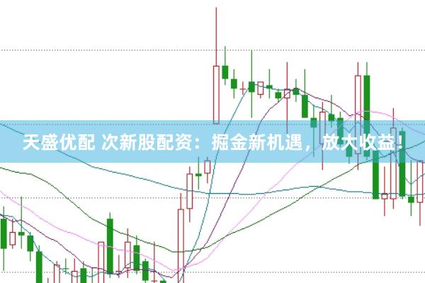 天盛优配 次新股配资:掘金新机遇,放大收益!