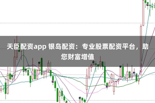 天臣配资app 银岛配资:专业股票配资平台,助您财富增值