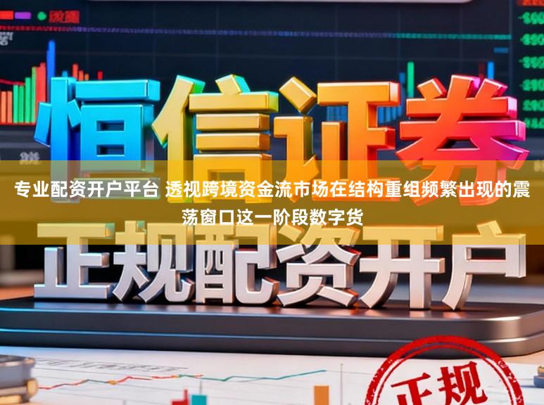 专业配资开户平台 透视跨境资金流市场在结构重组频繁出现的震荡窗口这一阶段数字货