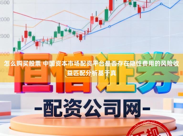 怎么购买股票 中国资本市场配资平台是否存在隐性费用的风险收益匹配分析基于真