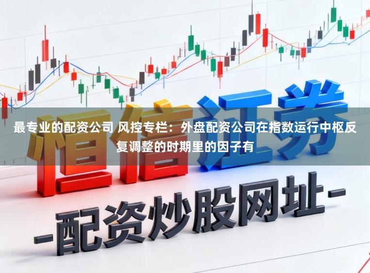 最专业的配资公司 风控专栏：外盘配资公司在指数运行中枢反复调整的时期里的因子有